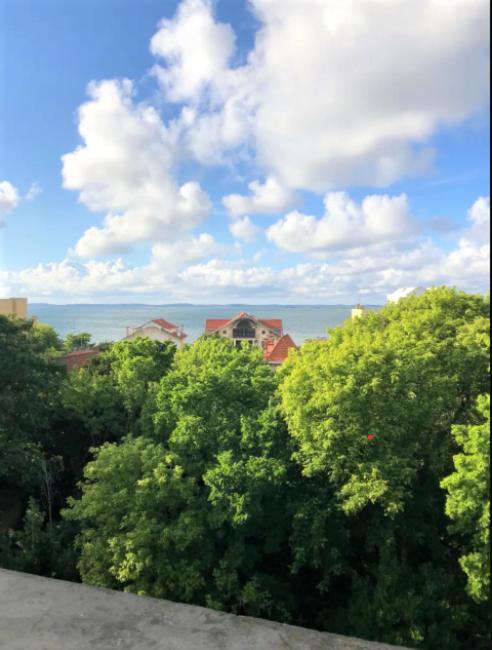 Appartement Vue Sur Baie Et Ocean, 100 M De La Plage Et Du Centre Par Chemin Prive Arcachon Exterior foto
