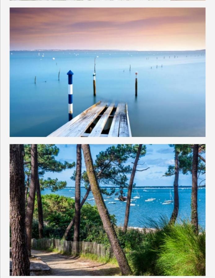 Appartement Vue Sur Baie Et Ocean, 100 M De La Plage Et Du Centre Par Chemin Prive Arcachon Exterior foto